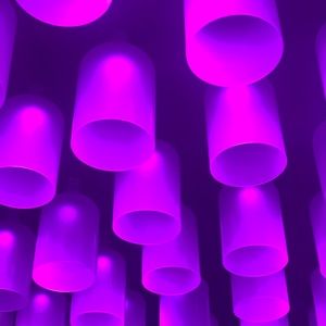 Meet your Posher, Benny